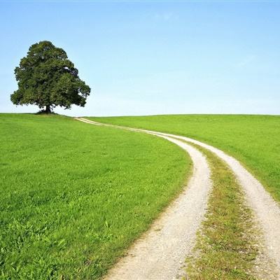 pg电子下载网址截图