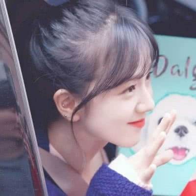 乐鱼app手机app下载